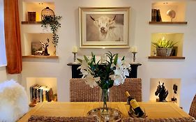 Renovated Miner'S Cottage - Family & Dog Friendly